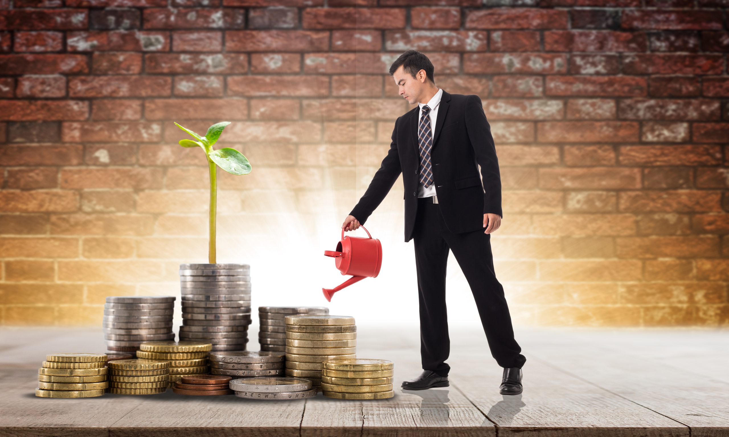 Fixed Income Investment A Safe Way to Grow Your Money