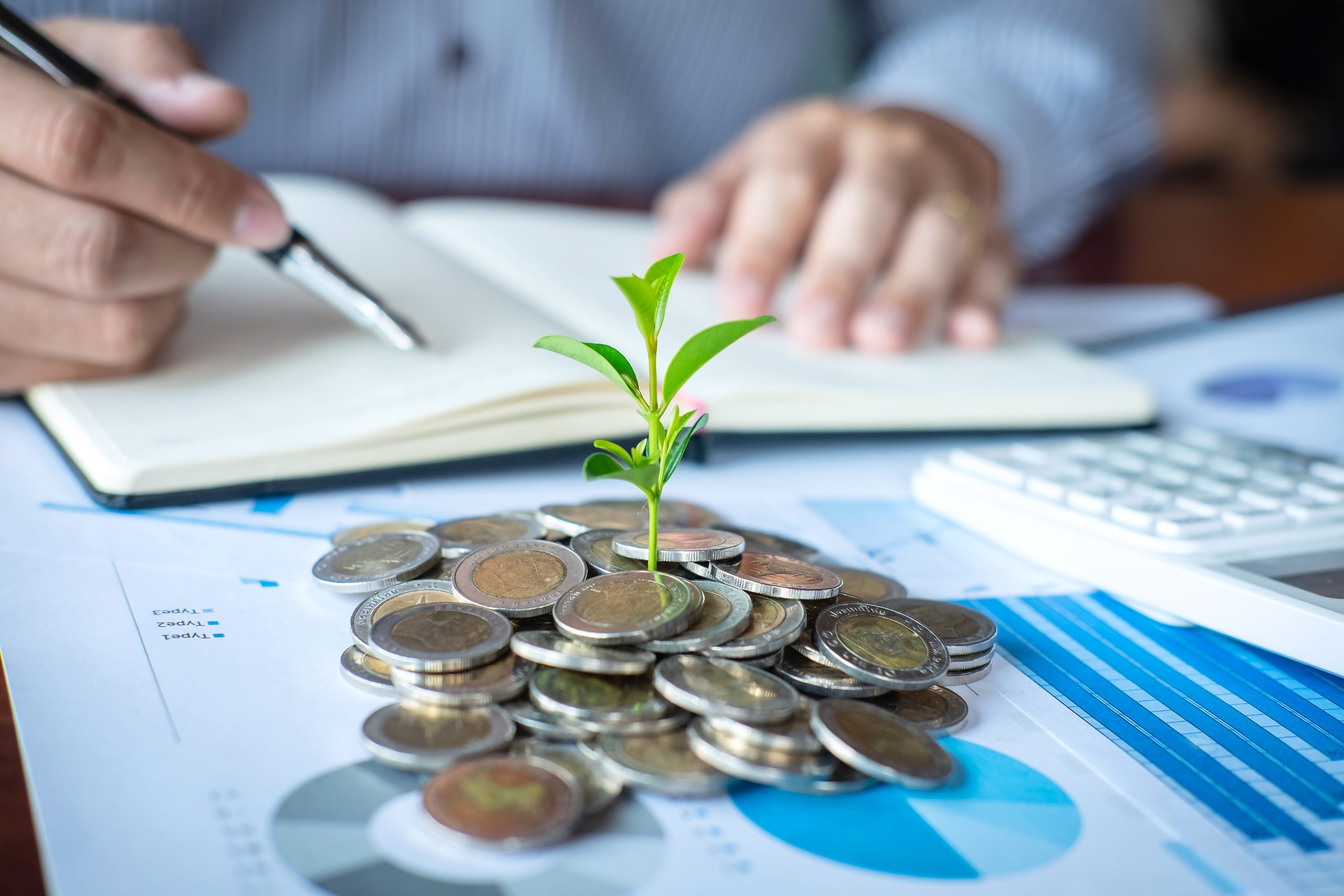 Wealth Management for Beginners How to Build a Strong Financial Portfolio in India