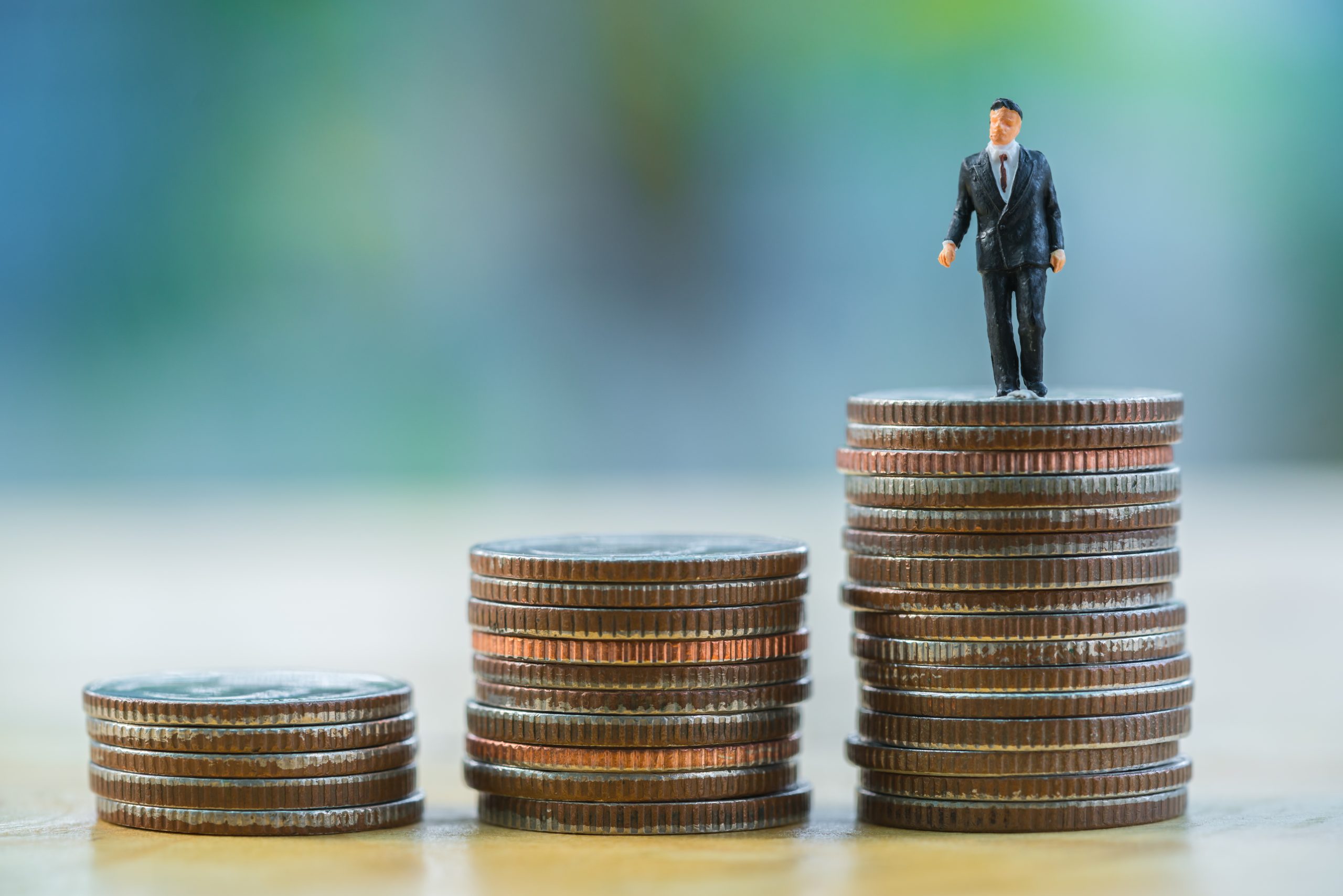 Wealth Management for Beginners How to Build a Strong Financial Portfolio in India