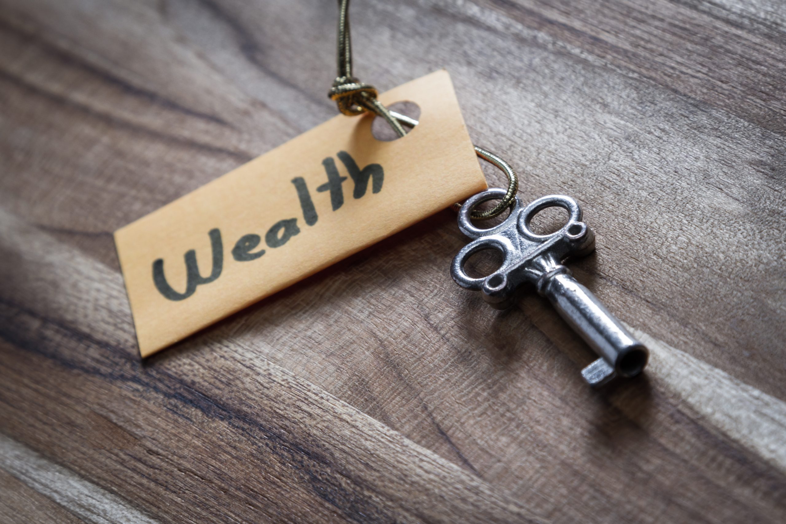 Wealth Management for Beginners How to Build a Strong Financial Portfolio in India